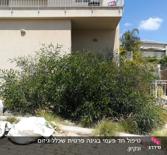 שיחים ירוקים עם שקי גינון לבנים על הקרקע